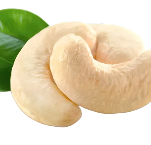 Cashew