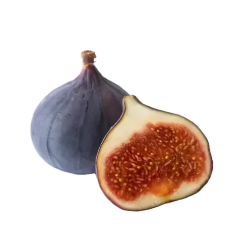 Fig