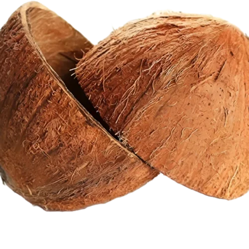 Coconut Shell