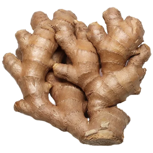 Fresh Ginger