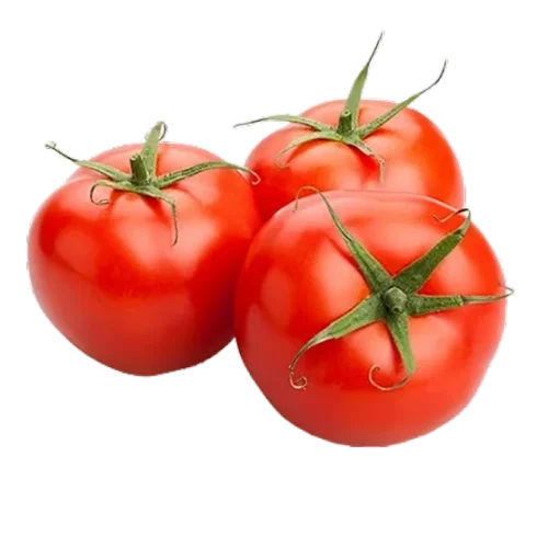 Tomato